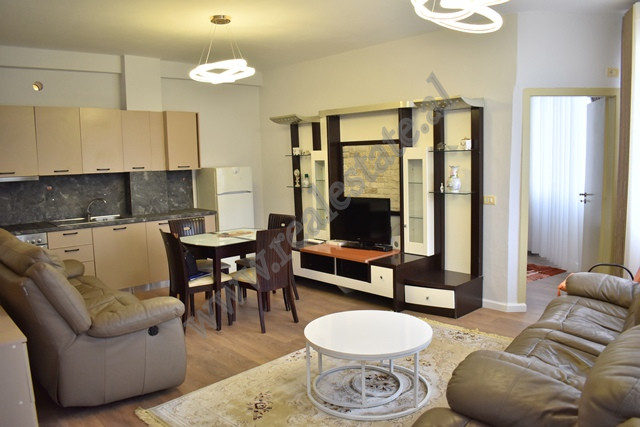 Apartament 1+1 ne shitje ne zonen e Freskut ne Tirane